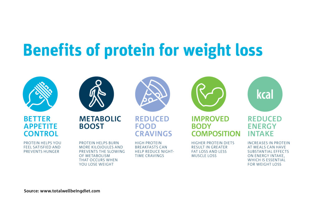 Role of Protein for Weight Loss