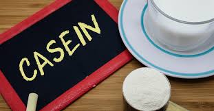 what is casein 