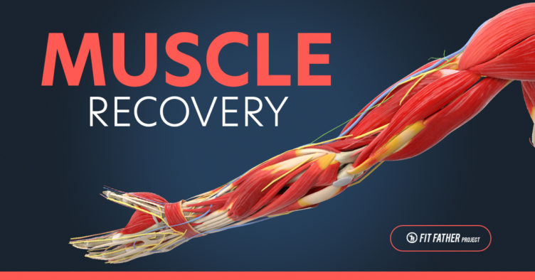 muscle recovery
