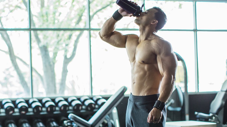 muscle gain with protein powder