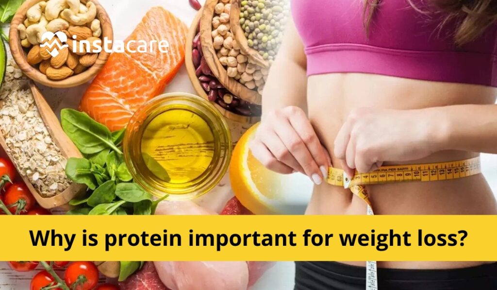 Why protein important for weight loss